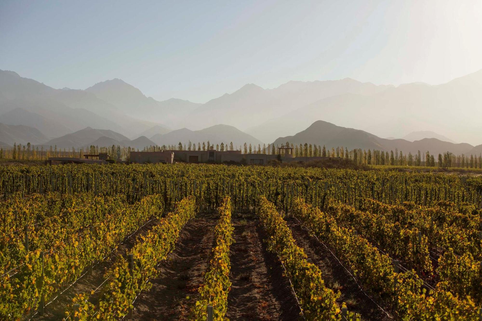 Bodega Alpasion Y Glamping Tunuyan