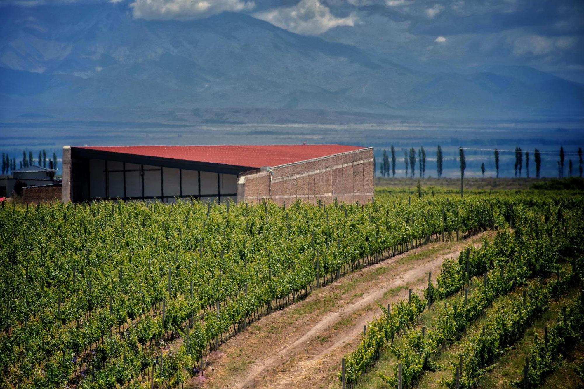 Bodega Alpasion Y Glamping *