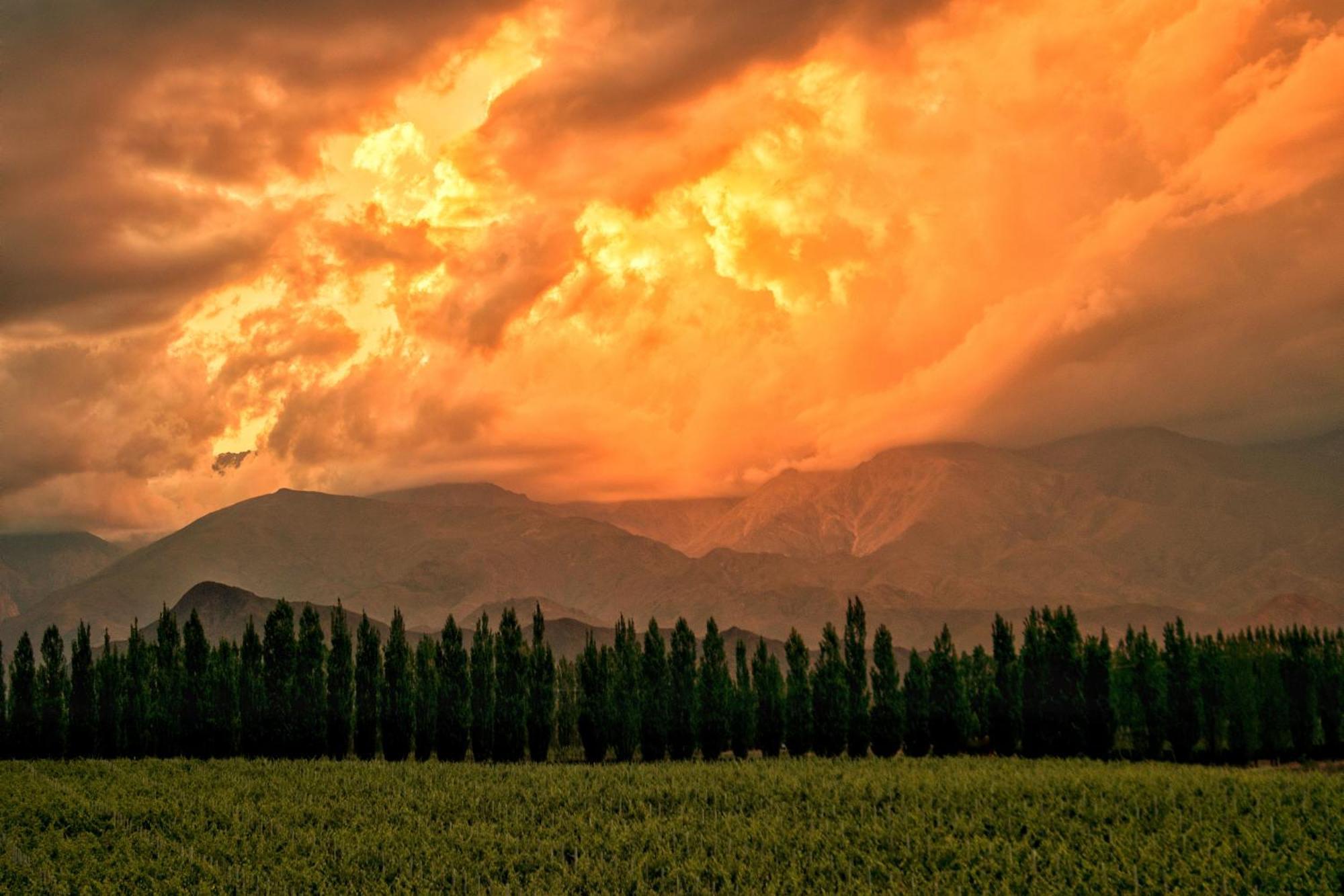 Bodega Alpasion Y Glamping Tunuyán